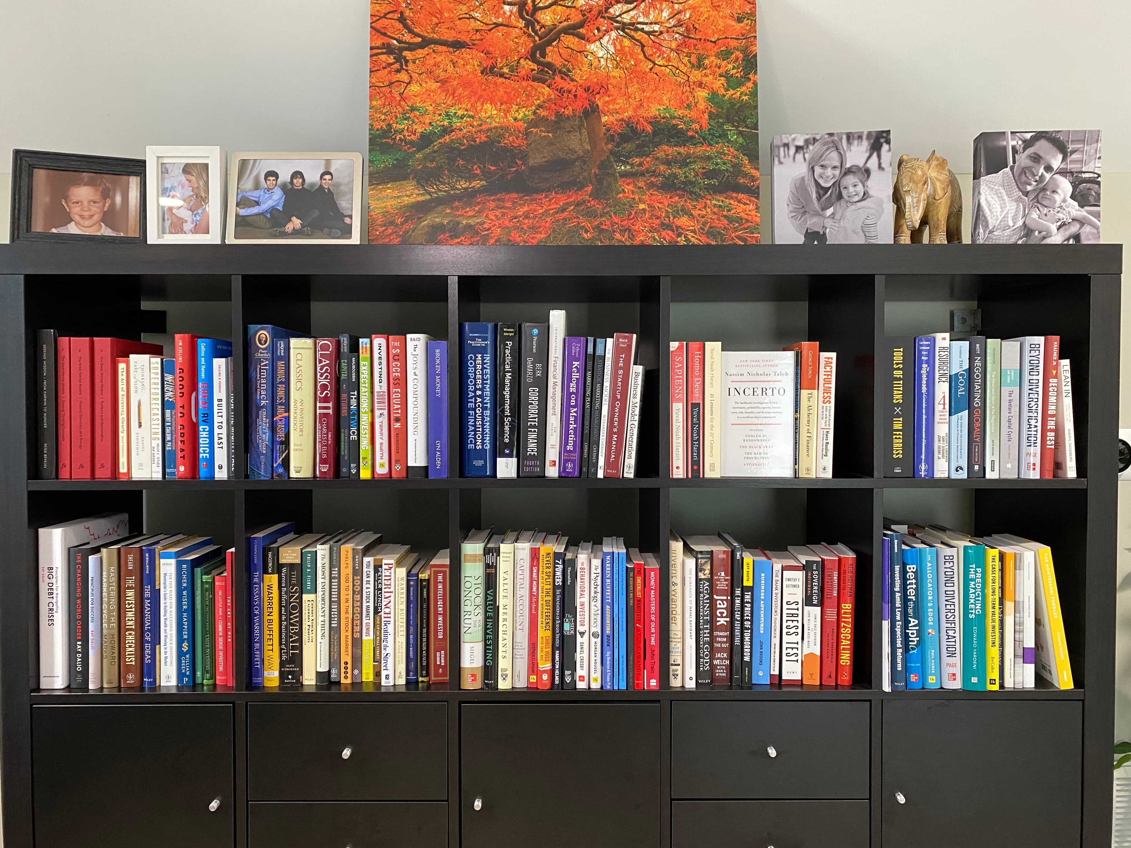 Carlos's bookshelf